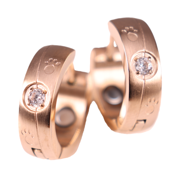 2094 Magnet Ohrring mit Zirkonia