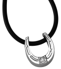 734 Magnet Pendant horseshoe