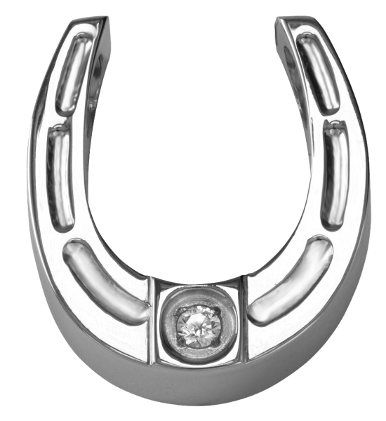 734 Magnet Pendant horseshoe